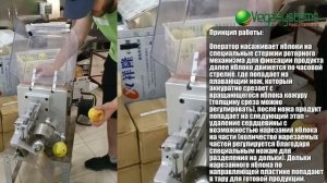 Машина для очистки яблок, удаления сердцевины и нарезки на части Vega Apl Pel 80 SA I Очистка яблок