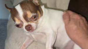 Доброй ночи и прекрасных всем снов.