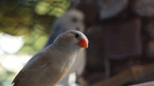 14035648_3840_2160_30fps