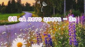 СП "А лето цвета... -3". Итоги