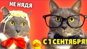 первое сентября