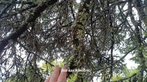 Гора "Качканар"