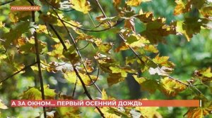 А за окном. 1 сентября 2025