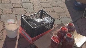 Мы на Речном ждём автобус.