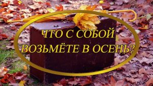 Ирина Верина-Михалкина – «Что с собой возьмёте в осень?», читает автор