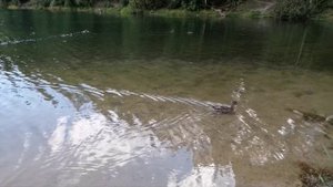 Вот это цвет воды😍 а как блестит и переливается на солнце😍 Озеро Глубокое, Казань