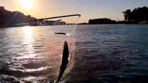 Оранжевое лето в Клевое Никольское