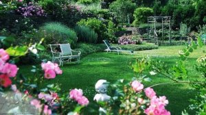 Дачный дизайн ! (2)