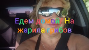 Едем домой/ Нажарила грибов