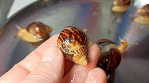 #Голубая_глина отличный результат за 7 дней применения