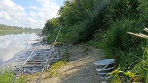 Осенняя щука дерёт рыбу на прикормленной точке.