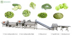 MNS-WL420B Salad Lettuce Vegetable Washing Machine vortex Vegetable Salad Cleaning Washing Machine