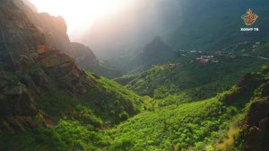 Имитатор үсемлекләр | Гаҗәеп дөнья серләре. Үсемлекләр дөньясы