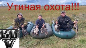 Охота на утку!!!