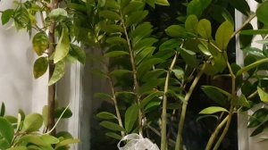 Путь к Богу!