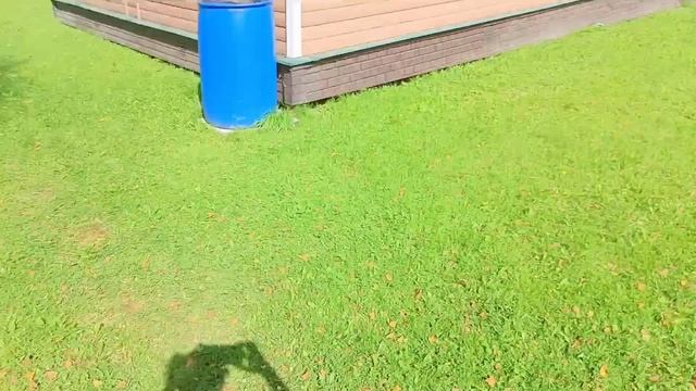 Дачные выходные. Строительство беседки 12 день. Урожай в августе.