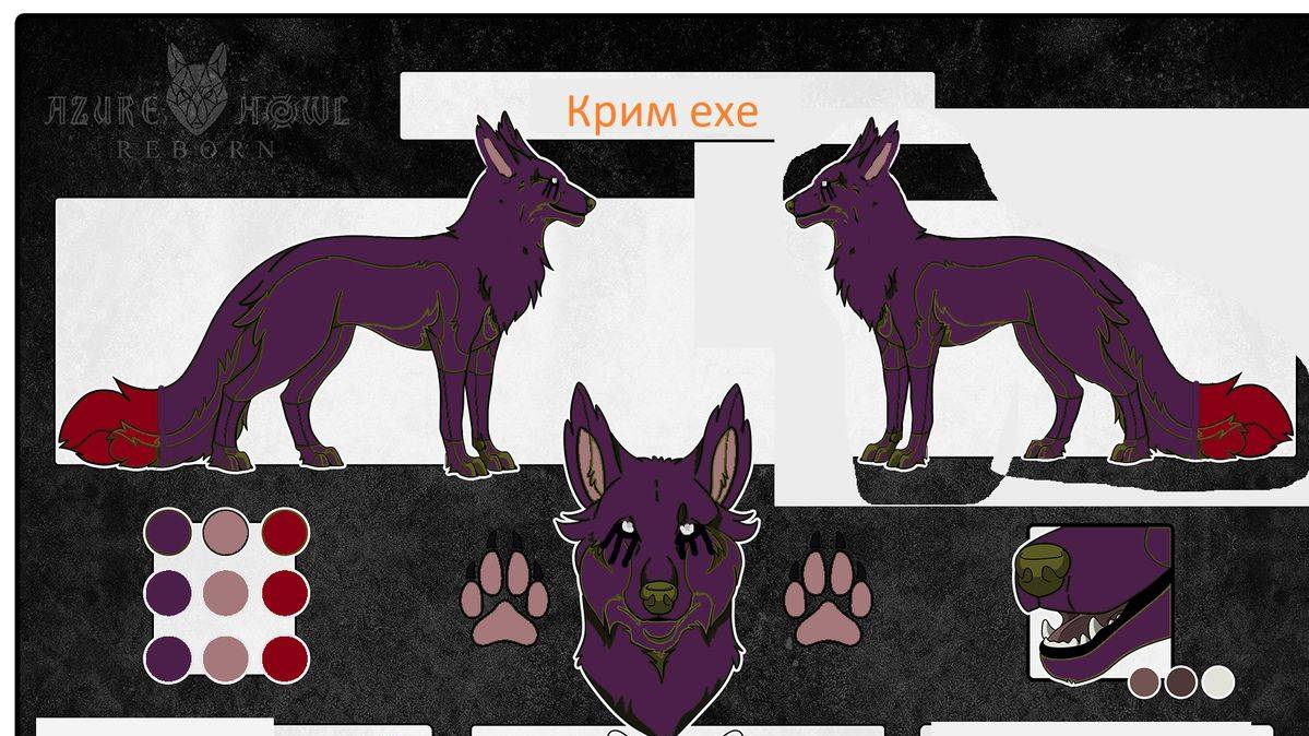 tumblr_t1wohinRYc1ah561v