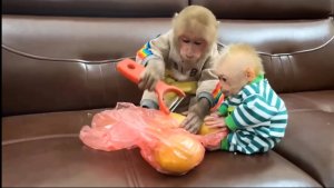 Обезьянки МАЛЕХА и БУКАШКА кроха сперли картошку из холодильника  Чистят на диване СМЕШНАЯ МАЛЫШНЯ
