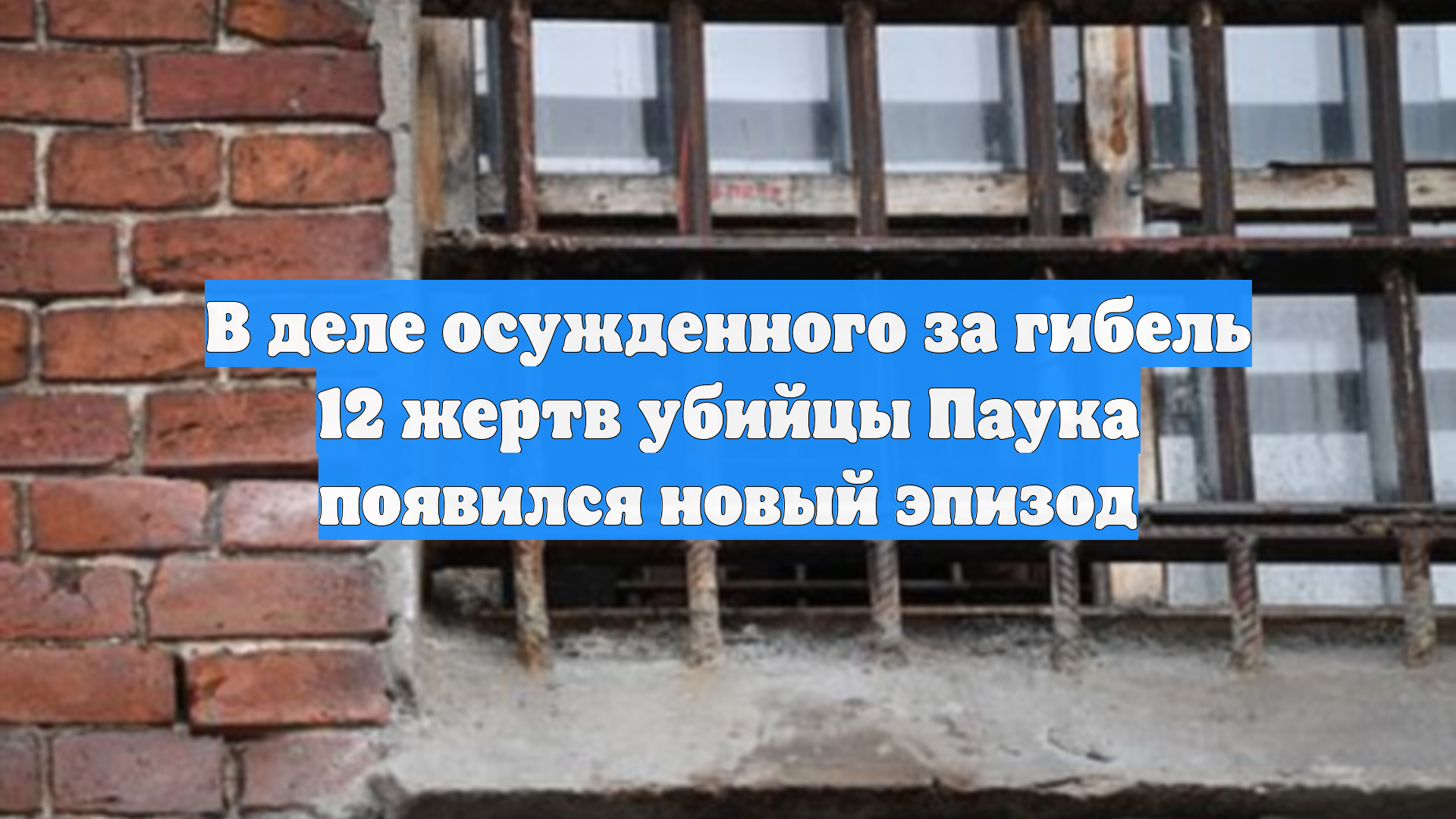 В деле осужденного за гибель 12 жертв убийцы Паука появился новый эпизод