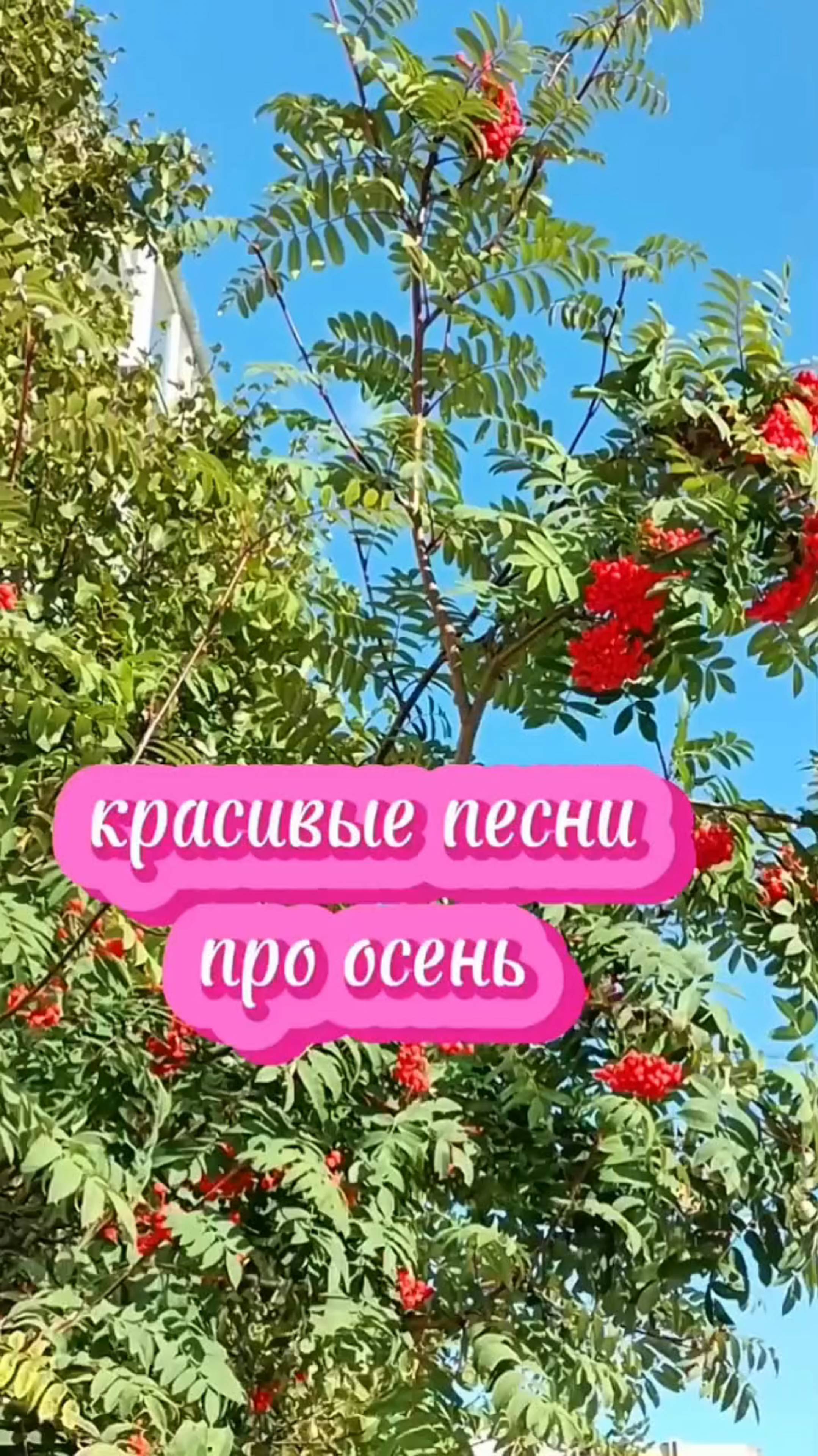 Красивые песни про осень. ЗДРАВСТВУЙ ОСЕНЬ 🍁