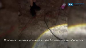 Воронежцы не могут решить вонючую проблему пятый день