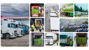 GilaFruit: Транспортировка