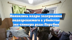 Появились кадры задержания подозреваемого в убийстве экс-спикера рады Парубия