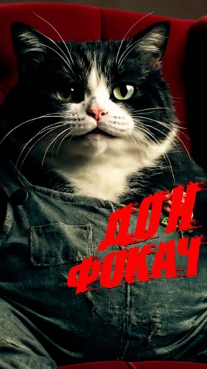 Фокач начало