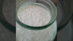 250831 Скисшее молоко Простокваша Творог Закваска молочная Творог Курт Курут сметана нежирное молочк