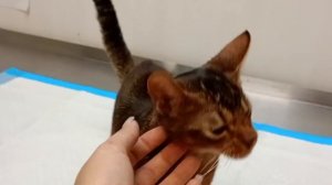 Её красота — в её уникальности! И теперь её любят всем сердцем! | Леона