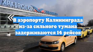 В аэропорту Калининграда из-за сильного тумана задерживаются 14 рейсов