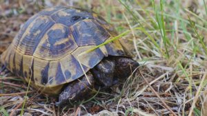 14285235_3840_2160_25fps