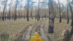 FPV-дрон в Харьковских лесах. Работает расчёт группы «Антагонист»🔥СУДНЫЙ ДЕНЬ🔥Судоплатов
