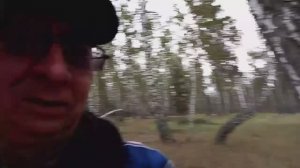 погнали в лес-отдохнули и телом и душой