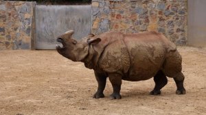 14162331_3840_2160_60fps