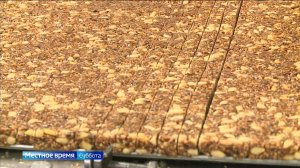 Вести-Томск, выпуск от 30.08.2025 14:30