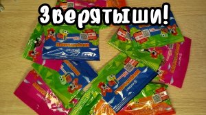 ЗВЕРЯТЫШИ! Распаковка новой акции в магните,конструктор лего