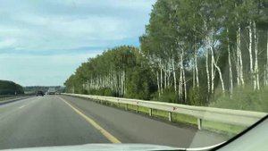 Дорога .Берёзки