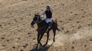 Скаковой день 23 августа. Дистанция 1600 м. Делленджер