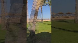 Трансфер между отелями Rixos Premium Seagate и Rixos Sharm El Sheikh Adults Only 18+ (23.08.2025)