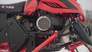 Снегоход Ирбис Динго Т150. Самый бюджетный Российский снегоход ｜ обзор снегохода Dingo T150