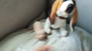 ВИДЕО ВОПРОС ОТВЕТ