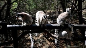 14293872_3840_2160_25fps