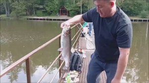 Форель реагирует на лёгкие приманки, но реализовать поклёвки непросто. Клёвое место, Лосиный остров