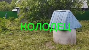 1ч Дача Приморск СНТ СМОРОДИНКА Ролик