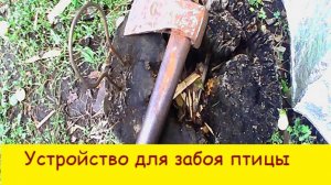Устройство для забоя птицы