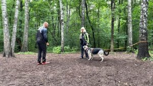 ВЕО Валентлайф Шерритэ Шанз Элизе, ЗКС, 2 занятие. КССС - 08.2025г.