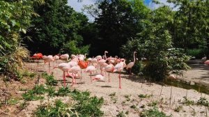 13891439_1906_1080_30fps