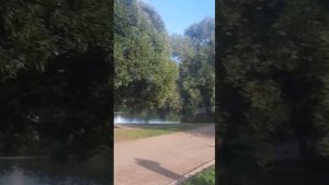 🌕 Значение реакций для осознанности, отсечение моралистов.⚙️😇