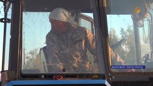 "Победа" хаһаайыстыба сенаж бэлэмниир.